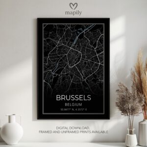 Visual celebration of Brussels Map, expressed through modern graphic design