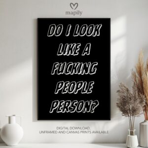 Modern framed wall art piece featuring a simple yet elegant design Do I Look Like, suited for any interior style