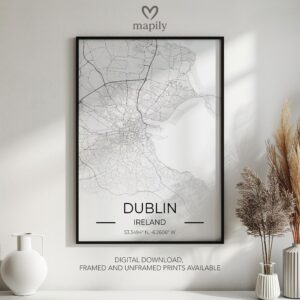 Sleek and refined wall piece of Dublin Map, adding meaning to your space